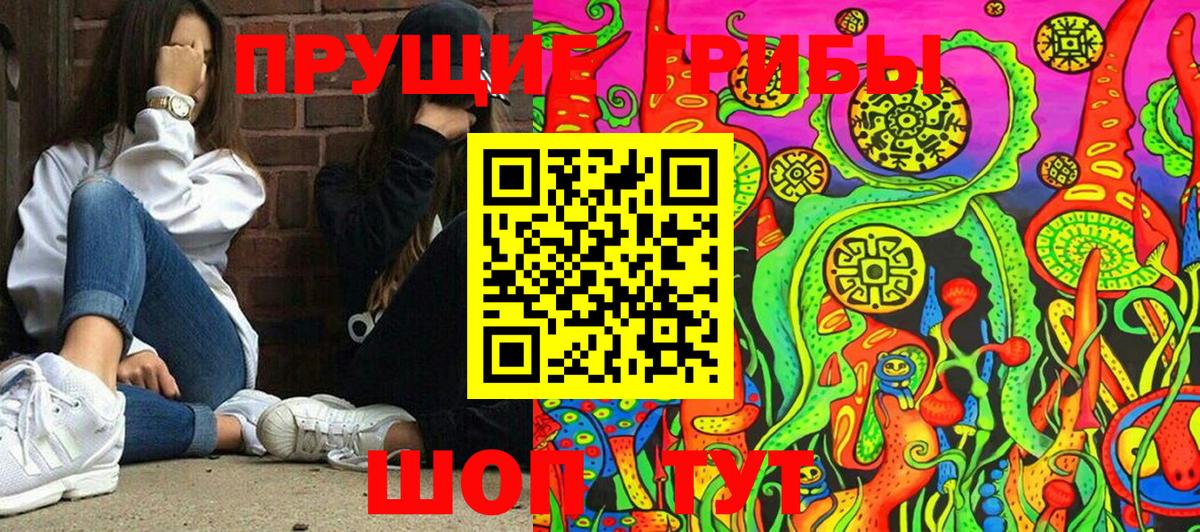 Псилоцибиновые грибы Psilocybe  Вход с VPN  Северск 